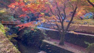 鰐淵寺 紅葉橋2020