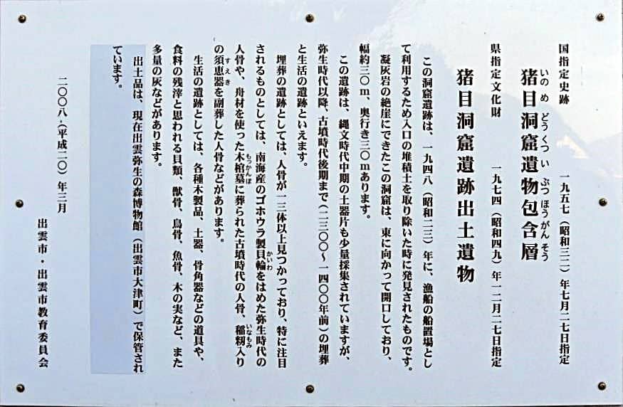 全国ニュース 出雲市猪目港 で ダイオウイカ が 生きた状態で漂着しているのが21年1月26日見つかりました 出雲にゅーす