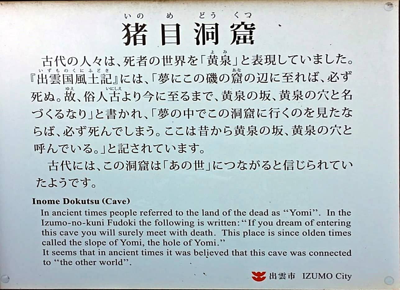 全国ニュース 出雲市猪目港 で ダイオウイカ が 生きた状態で漂着しているのが21年1月26日見つかりました 出雲にゅーす