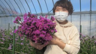 佐野農園