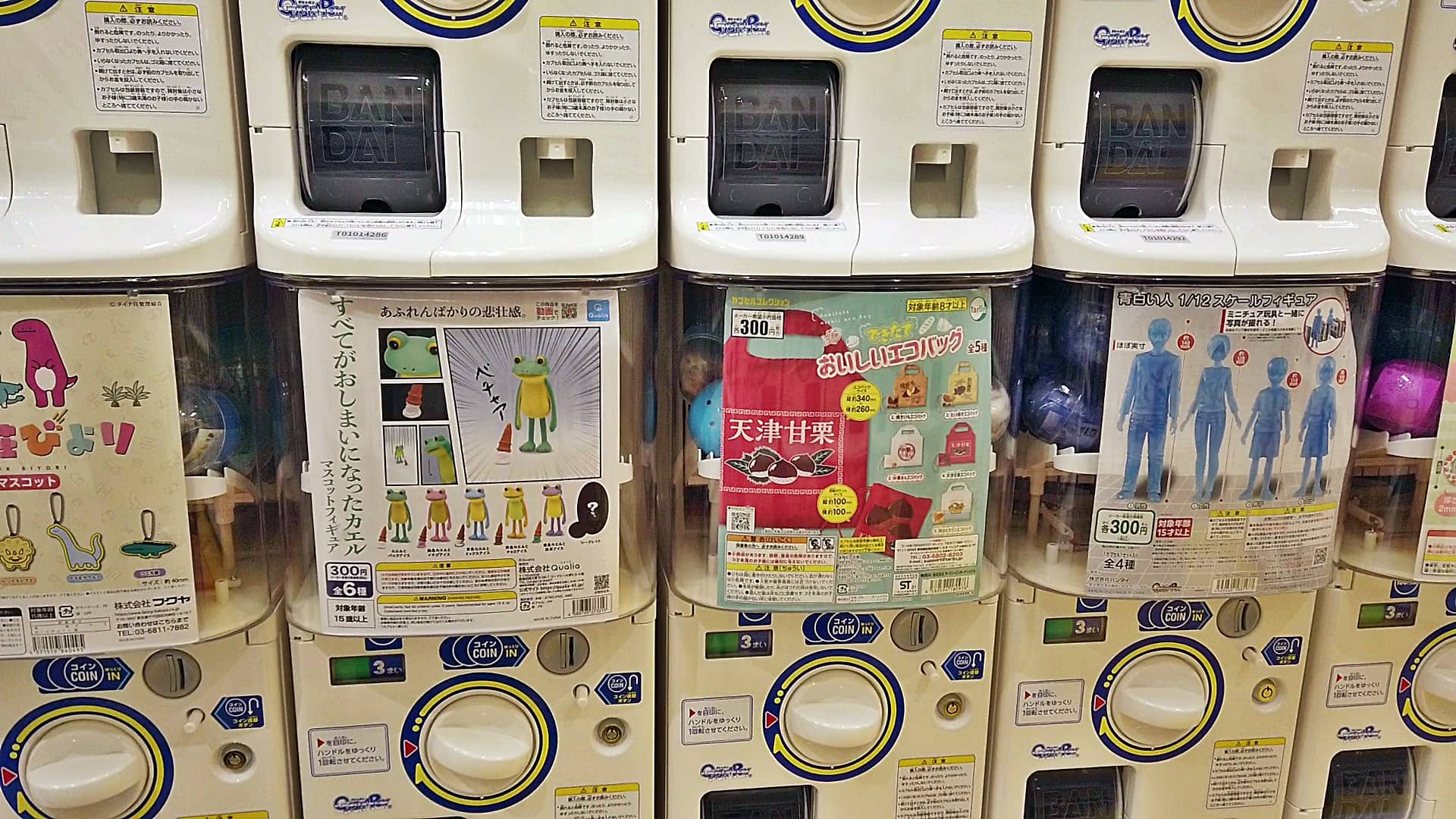 ゆめタウン出雲店内にガチャガチャの『カプセルラボ』！ 2021年10月15日にオープンし、行ってみました。－《いずしる》出雲にゅーす