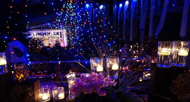 出雲市西新町 しまね花の郷 のクリスマスイベント 21年 クリスマス キャンドルナイト は開催を見送られました 出雲にゅーす 出雲市西新町 しまね花の郷 のクリスマスイベント 21年 クリスマス キャンドルナイト は開催を見送られました 出雲にゅーす