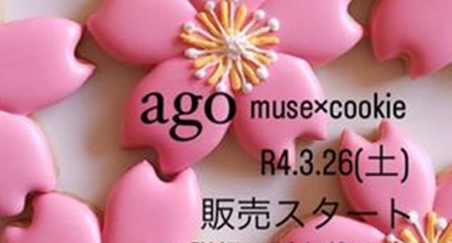 ago muse×cookie オープン案内_サムネイル