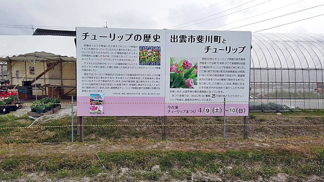 斐川菜の花畑 チューリップ畑 看板