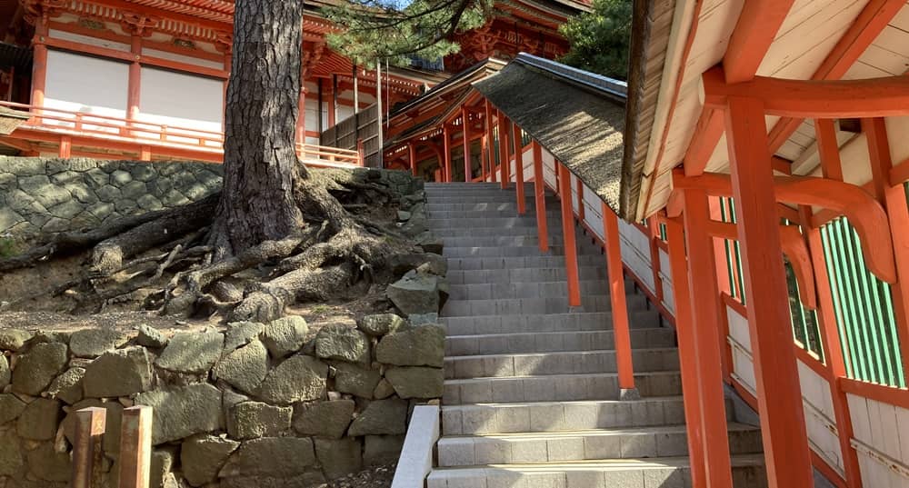 日御碕神社 桜門-神の宮 石段