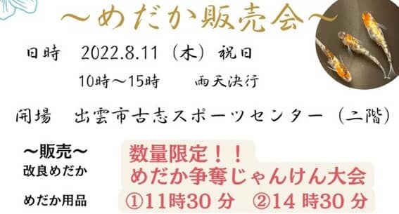 出雲市古志 めだか 愛好家による めだか販売会 22年8月11日 木 祝 古志スポーツセンター２階にて開催されます 出雲にゅーす