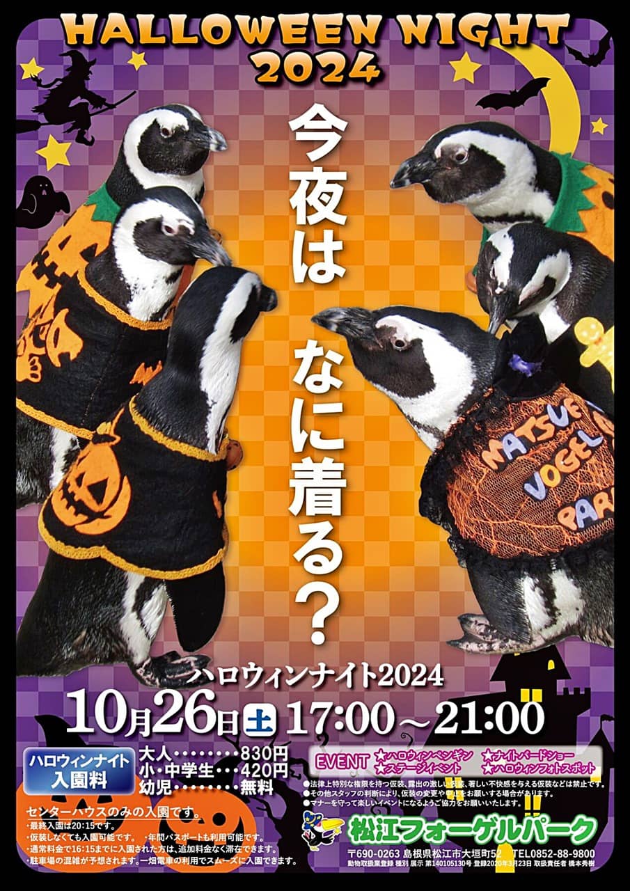 ハロウィンナイト2024 チラシ