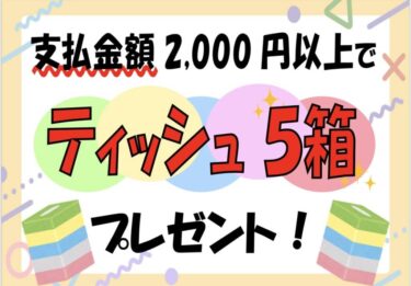 半額倉庫20250510 ティッシュ