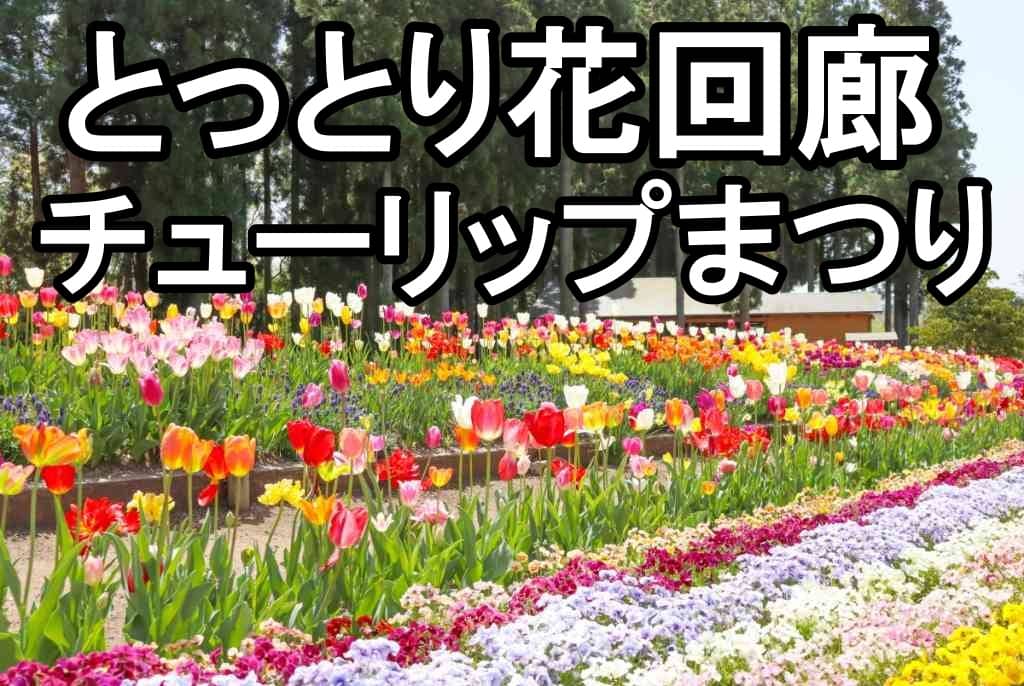 チューリップまつり 2026