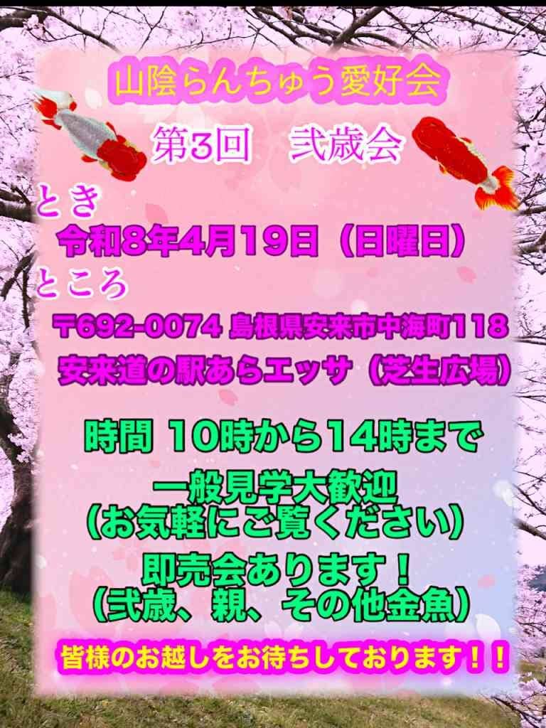 山陰らんちゅう愛好会　第３回弐歳魚品評会2026