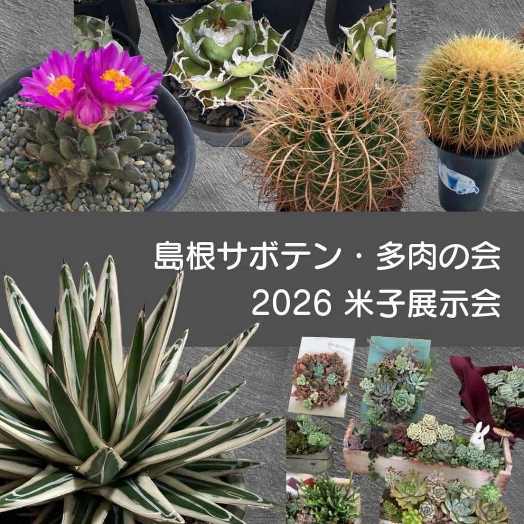 島根サボテン・多肉の会 米子展示会2026